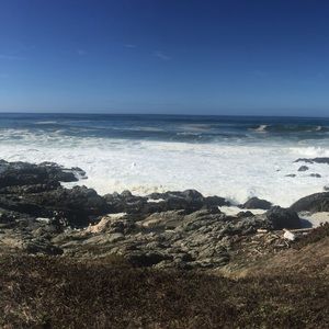 Meet your Posher, Gigi